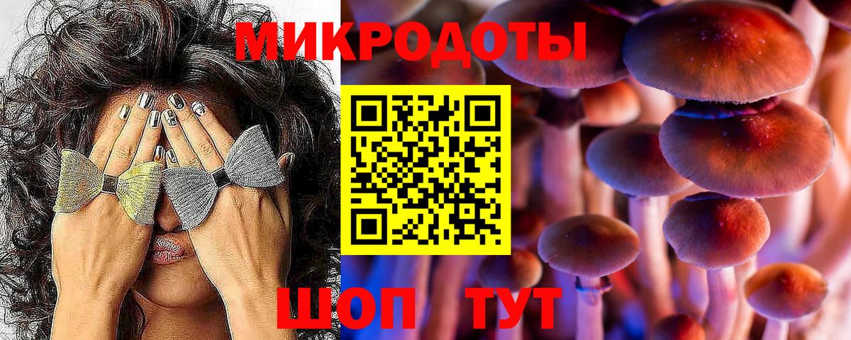 Воронеж  Псилоцибиновые грибы MAGIC MUSHROOMS  Вход с VPN 